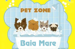 Sorokin Ingrid - salon toaletare canina PET ZONE - Masaj terapeutic, Masaj de relaxare