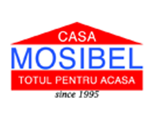 casa_mosibel_timisoara