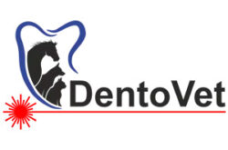 DentoVet - stomatologie veterinară în Cluj Napoca - infoharta.ro