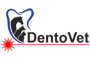 DentoVet - Stomatologie Veterinară în Cluj Napoca
