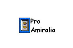 PRO AMIRALIA SRL - Sistem de alarma, Instalatii electrice - Baia Mare