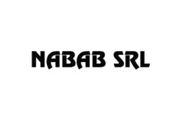 NABAB SRL - Confectii Metalice din Inox, Aluminiu si Fier forjat Baia Mare