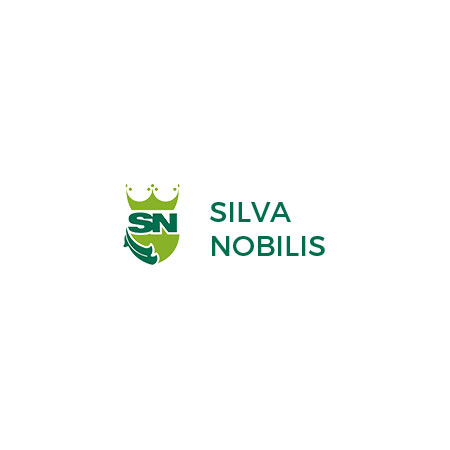 SILVA NOBILIS - Ferestre si Usi din lemn, Mobila din lemn masiv, Case din lemn