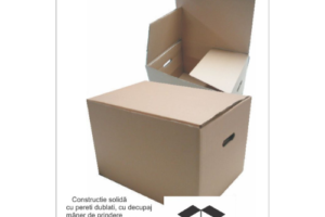 cutie carton CO 5 pereti dubli si manere dcupate