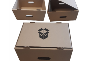 tava carton cu acoperire detasabila