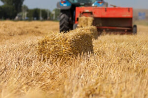 piese-prese-de-balotat-01